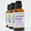 huile essentielle Lavandin Abrial