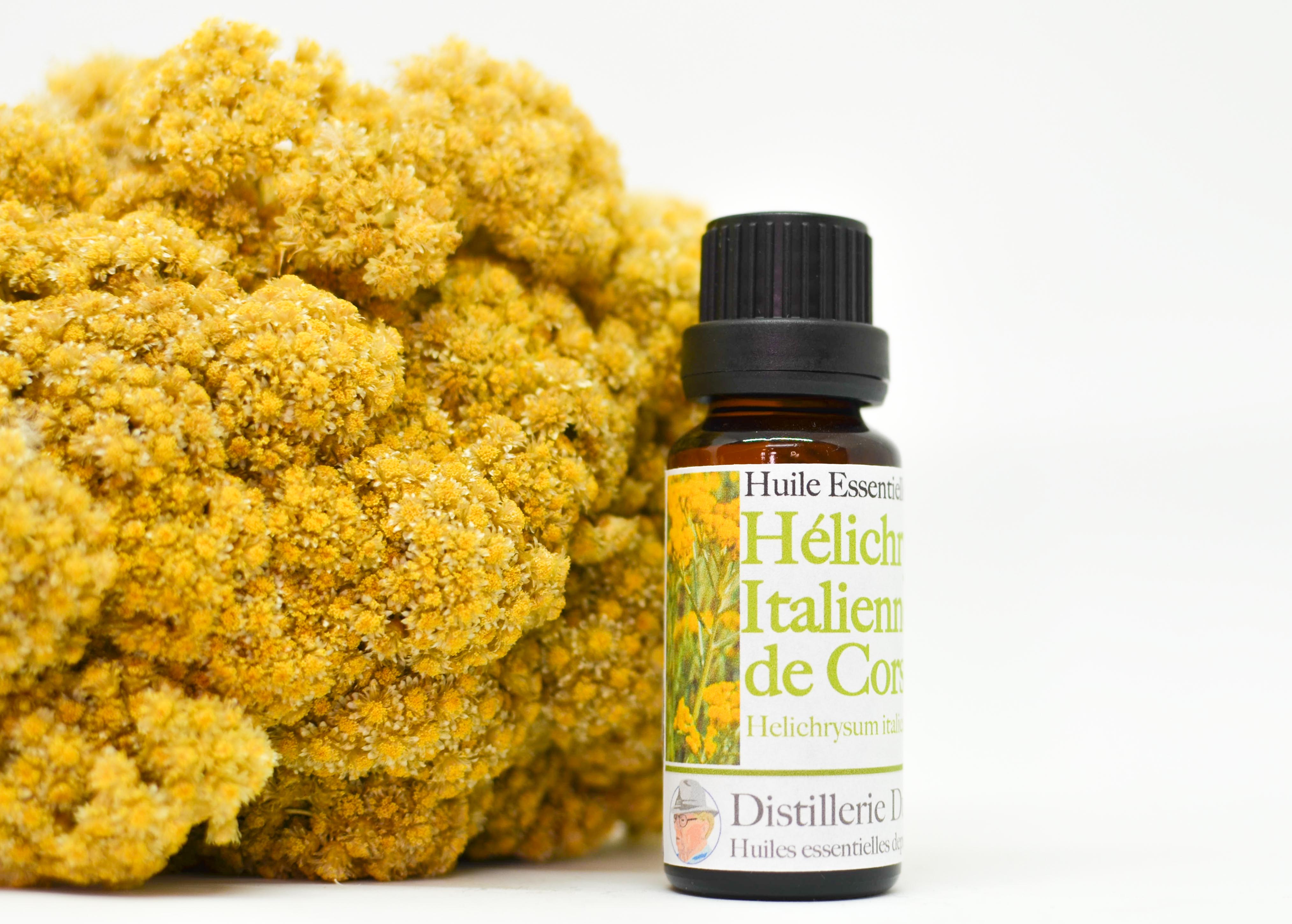 Huile essentielle d'Hélichryse Italienne - Immortelle (Helichrysum