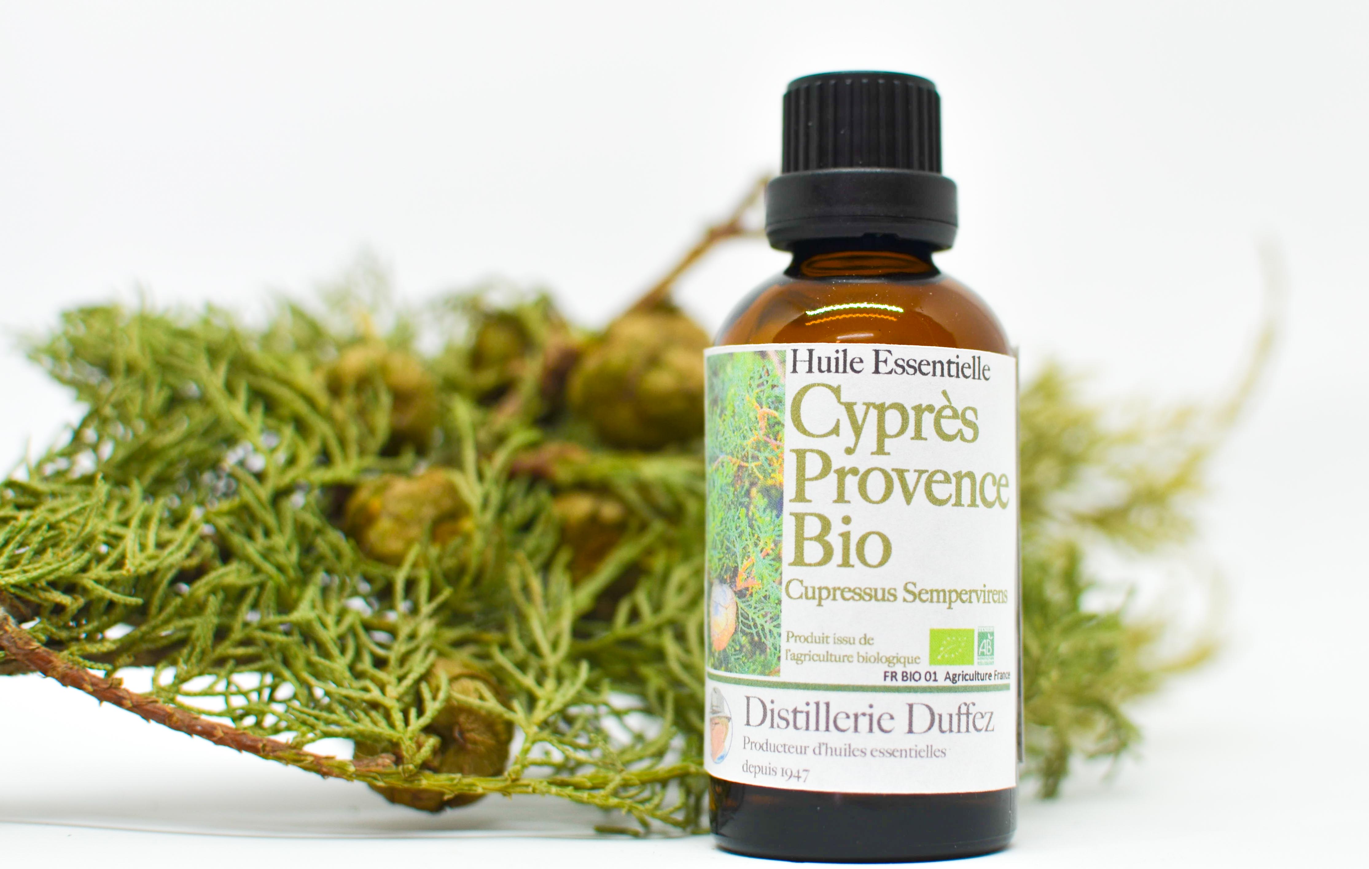 Cyprès BIO Huile Essentielle