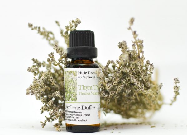 THYME THUJANOL