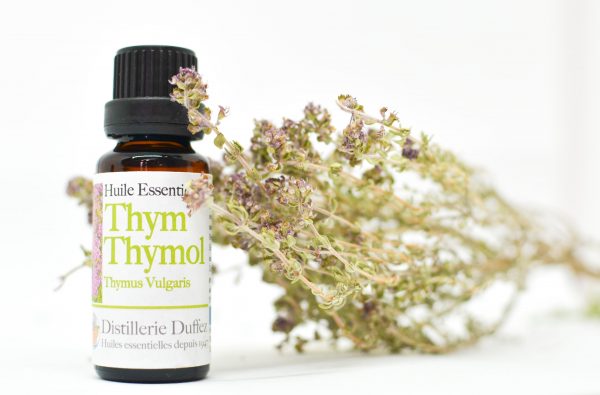 Huile Essentielle de Thym Thymol
