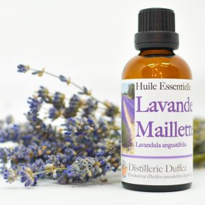 Lavande maillette produit par la distillerie Duffez producteur