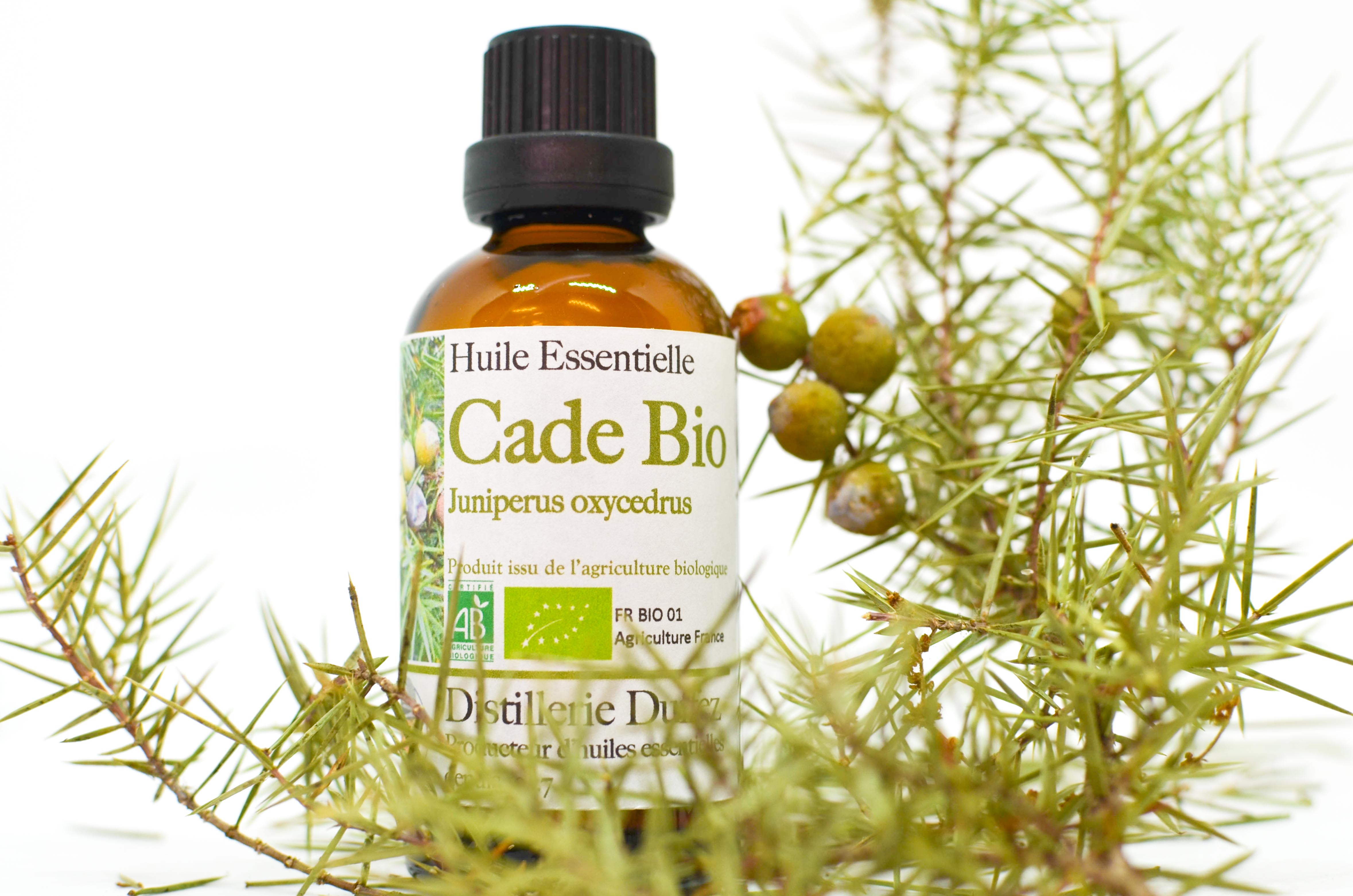 Huile essentielle de Cade (juniperus oxyucedrus) - ses bienfaits