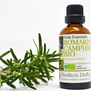 Romarin Camphré BIO