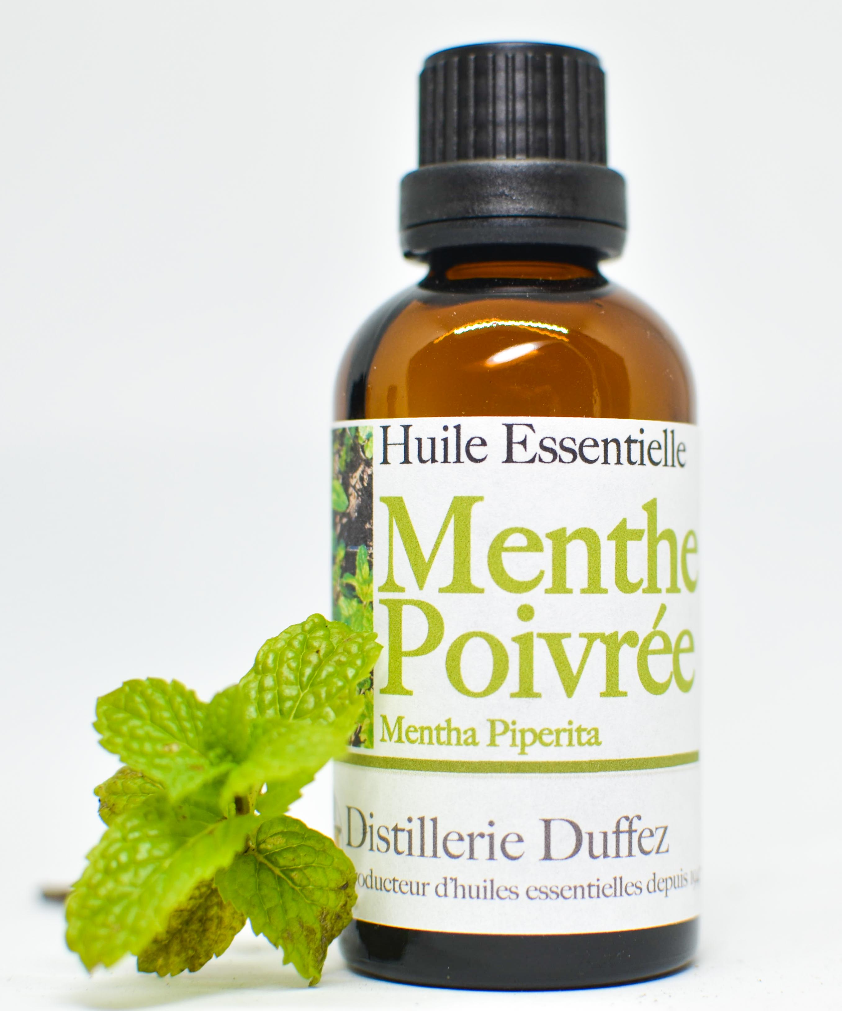 Tout savoir sur l'huile essentielle de Menthe Poivrée– In Haircare