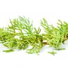 Essential Oil Provence Cyprus - Image 2