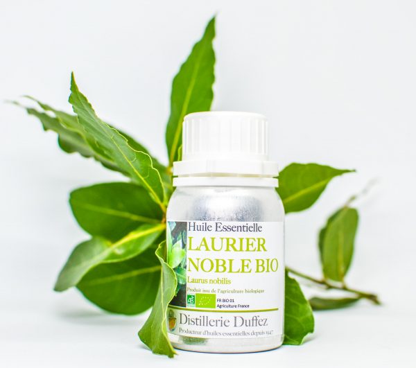 huile essentielle Laurier noble bio