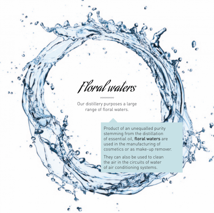 floral water hydrosol